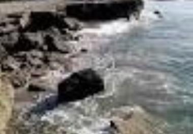 بررسي ساختار پلانکتون‌ها در خليج غربي و شرقي جاسک (استان هرمزگان)