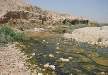 بررسي اكولوژي و پتانسيل بهره‌گيري از آب‌هاي سطحي شور استان فارس در آبزي‌پروري- رودخانه‌ دهرم