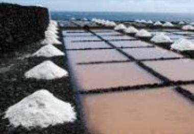 مطالعه برخی از شاخص‌های زیستی و غیر زیستی در حوضچه‌های استحصال نمک در بندر امام (ماهشهر)