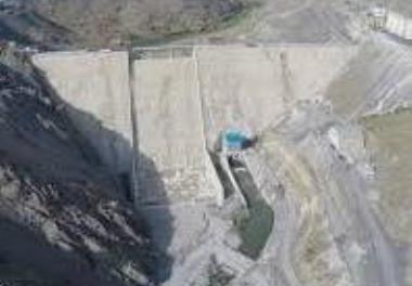 بررسی وضعیت بهداشتی اکوسیستم آبی شاخه‌‌های رودخانه سیروان  (سد ژاوه- سنندج) با تاکید بر باکتر‌‌ی‌‌های اندیکاتور و بیماری‌زای انسانی وآبزی