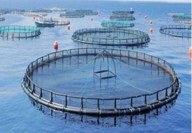 اثرات پرورش ماهی در قفس بر محیط زیست دریای خزر، منطقه کاسپین