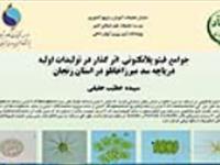 پوستر: جوامع فیتو پلانکتونی اثر گذار در تولیدات اولیه دریاچه سد میرزاخانلو در استان زنجان