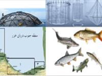 ایجاد سایت الگویی پرورش ماهی قزل آلا در قفس شناور در دریای خزر در استان مازندران (خاتمه یافته)