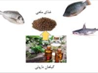 پادکست : قسمت دوم 