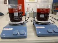 مراحل استخراج عصاره زرشک سیاه