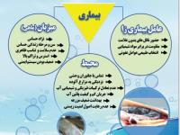 عوامل مؤثر بر وقوع بیماری های ماهی