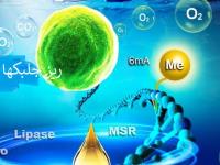 قسمت اول پادکست 