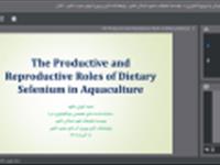سخنرانی در نشست تخصصی بیوتکنولوژی دریا با عنوان «کاربرد نانو سلنیوم در تغذیه مولدین ماهیان دریایی»